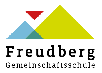 DS253 4 09fbgs.logo